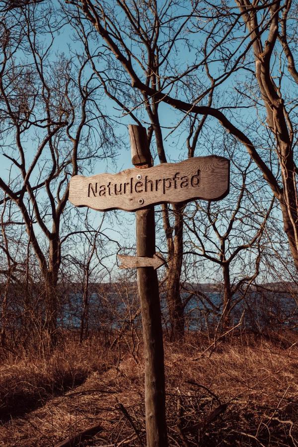 Auszeit Tollensesee Gross Nemerow ภายนอก รูปภาพ